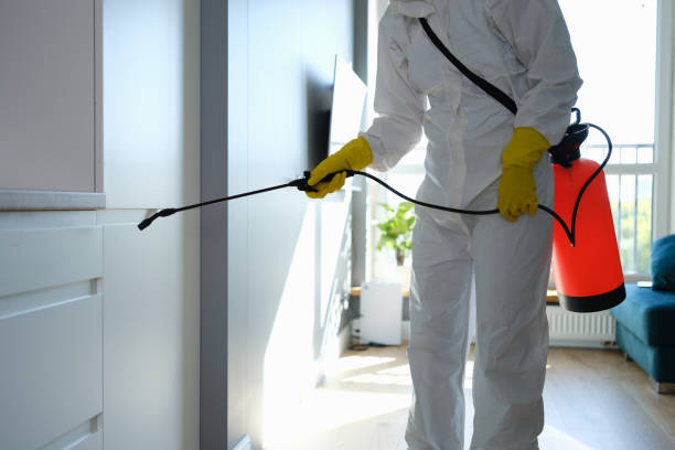 Certified Mold Removal in Onawa, IA