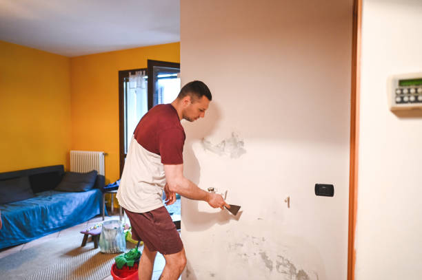Mold Testing and Removal in Onawa, IA